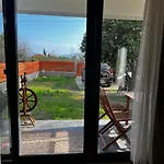 Citrus 2 * Eskiomerler