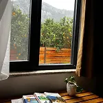 度假居 Citrus 2 *