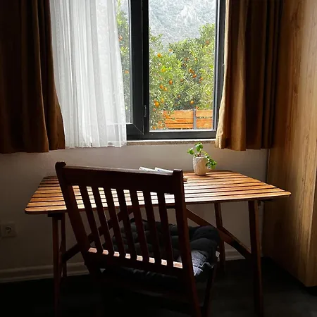 Holiday home Citrus 2 *