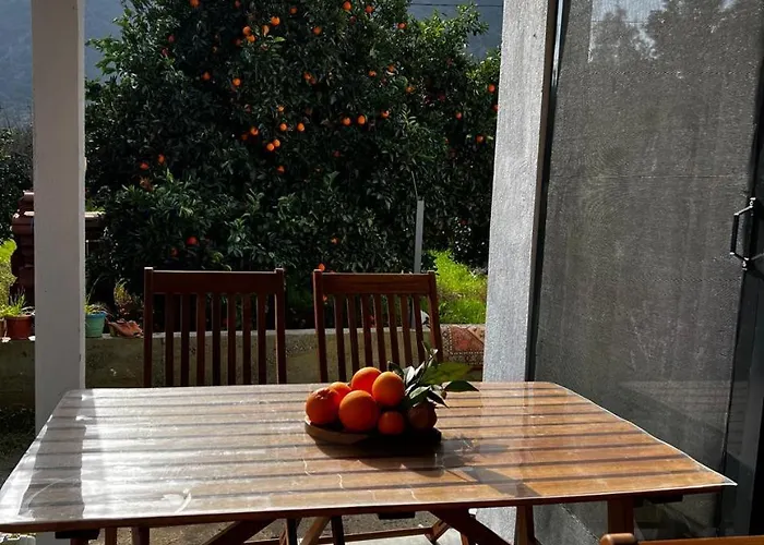 Citrus 2 Holiday home