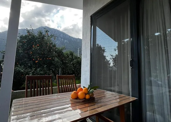 Citrus 2 Eskiomerler