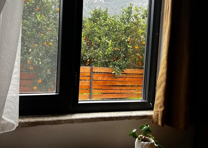 Holiday home Citrus 2 *